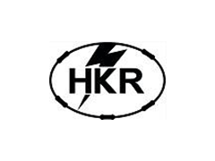 HGR(香港电阻)